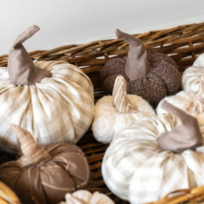 Bruno Fabric Pumpkin