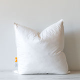 Pillow Insert