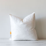 Pillow Insert