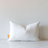 Pillow Insert