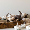 Bruno Fabric Pumpkin