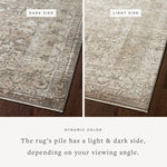 FLOOR MODEL - Loloi Sonnet Grey / Sage Rug - 11'6" x 15' RUGS - floor model Loloi