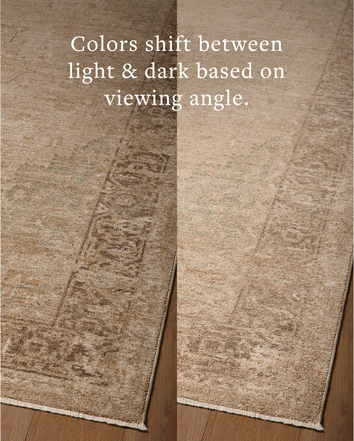 Magnolia Home x Loloi Storrie Natural / Spa Rug - Rug & Weave