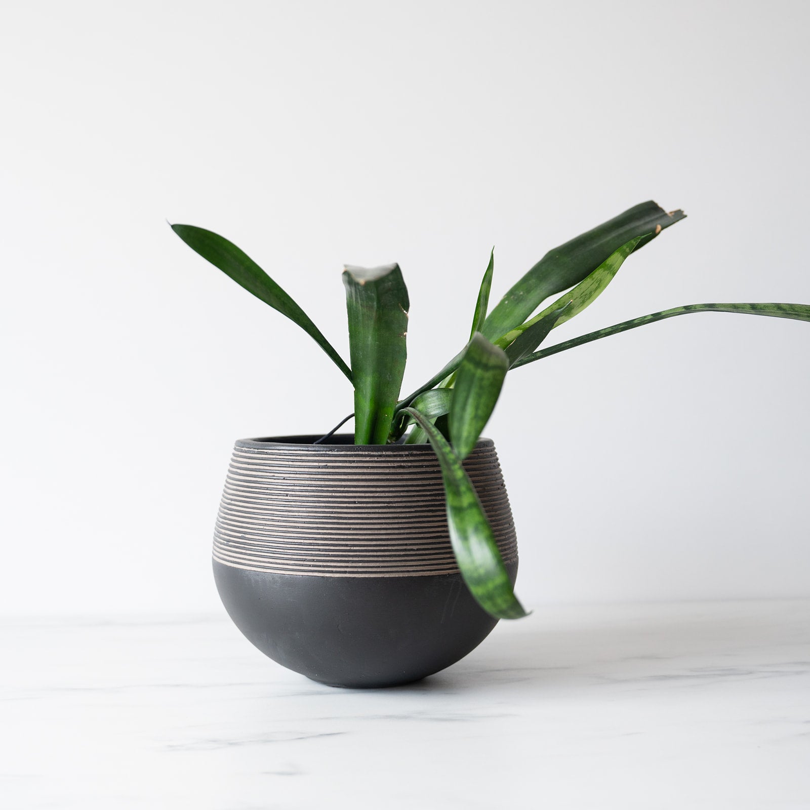 Textured Charcoal Planter Pot - Rug & Weave