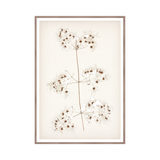 "Botanical Sketch I" Framed Art Print ARTWORK - framed print Celadon Art