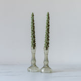 Tree Shaped Taper Candles - Evergreen CHRISTMAS 2026 Creative Co-op (DYA)