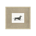 Canine Heirloom 3 ARTWORK - framed art Wendover Art Group