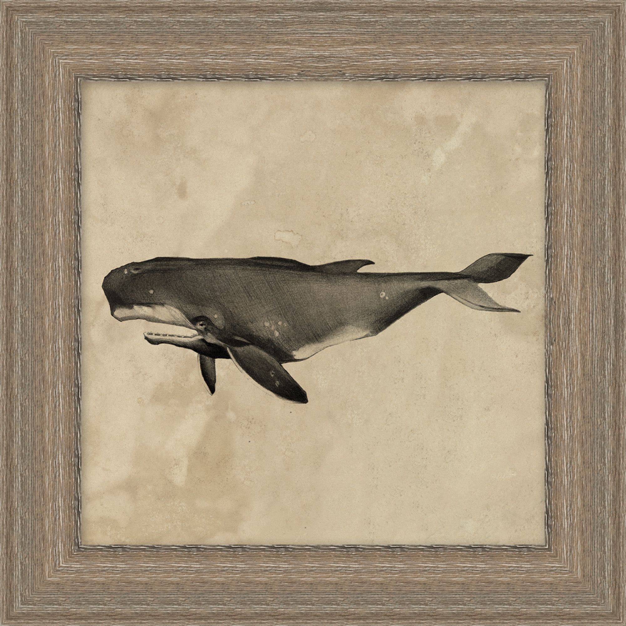 "The Old Whale" Framed Art Print – view 2