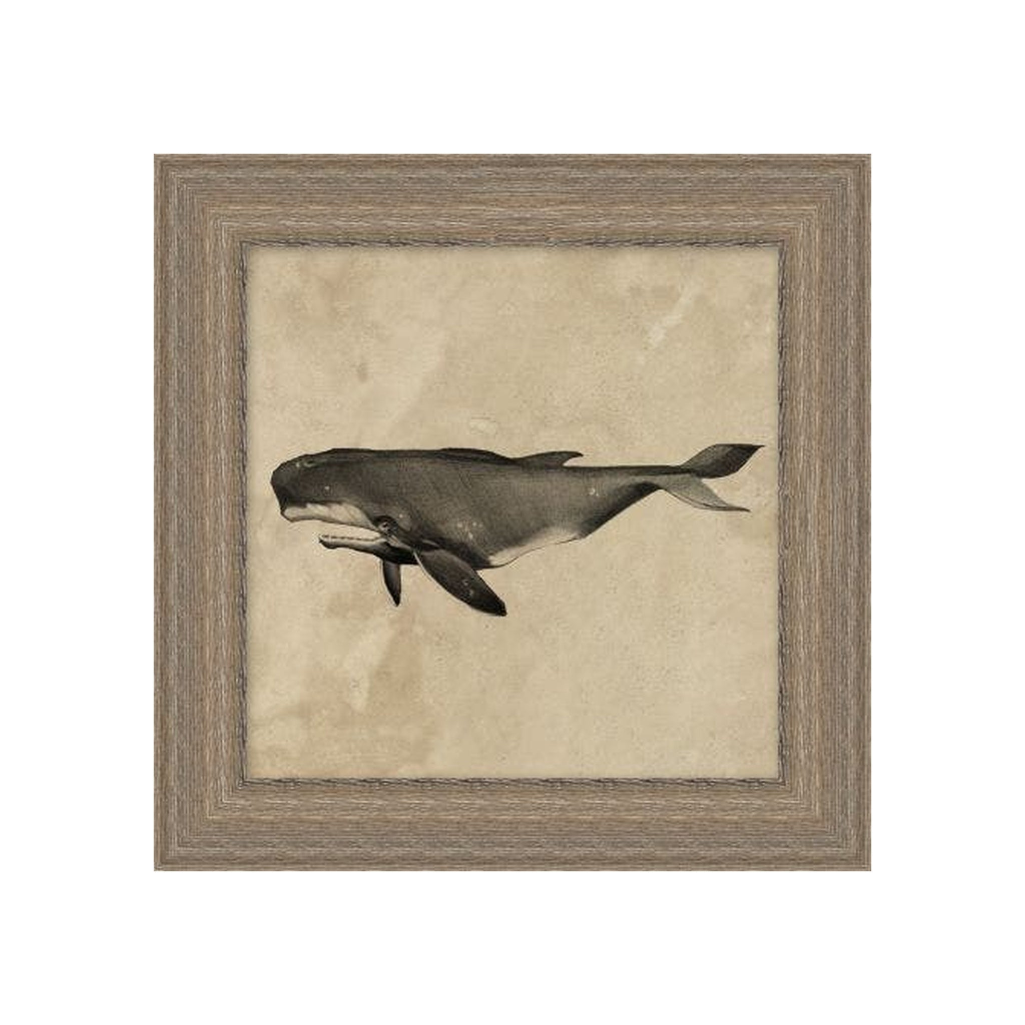 Deep Sea Whale ARTWORK - framed art Wendover Art Group