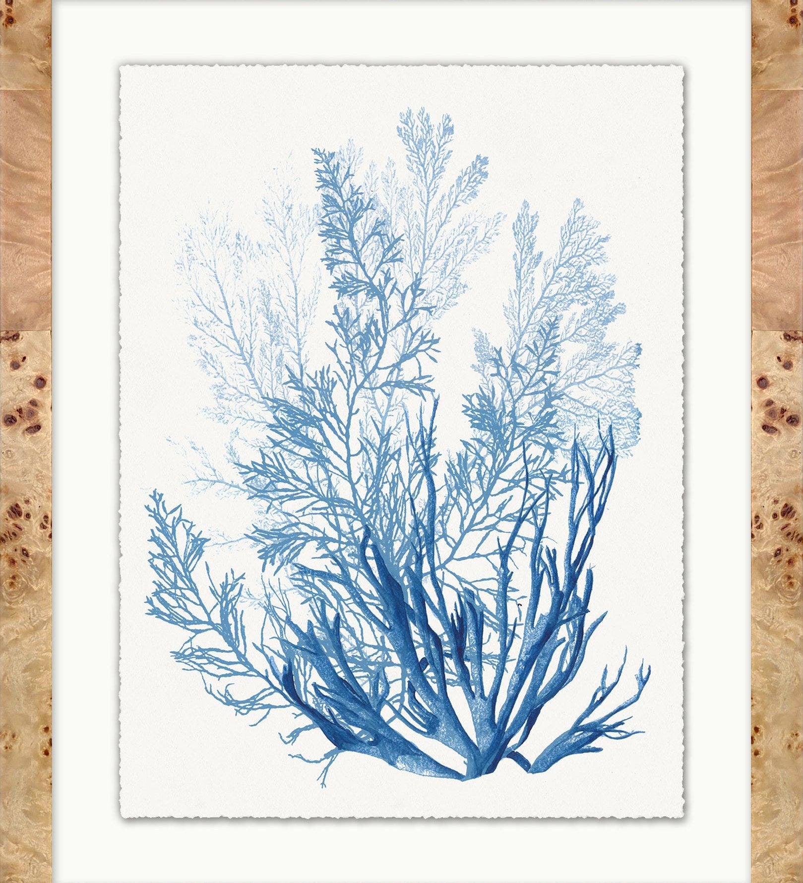 "Coral in Blue" Framed Art Print – view 2
