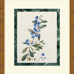 "Measured Beauty" Framed Art Print ARTWORK - framed art Wendover Art Group