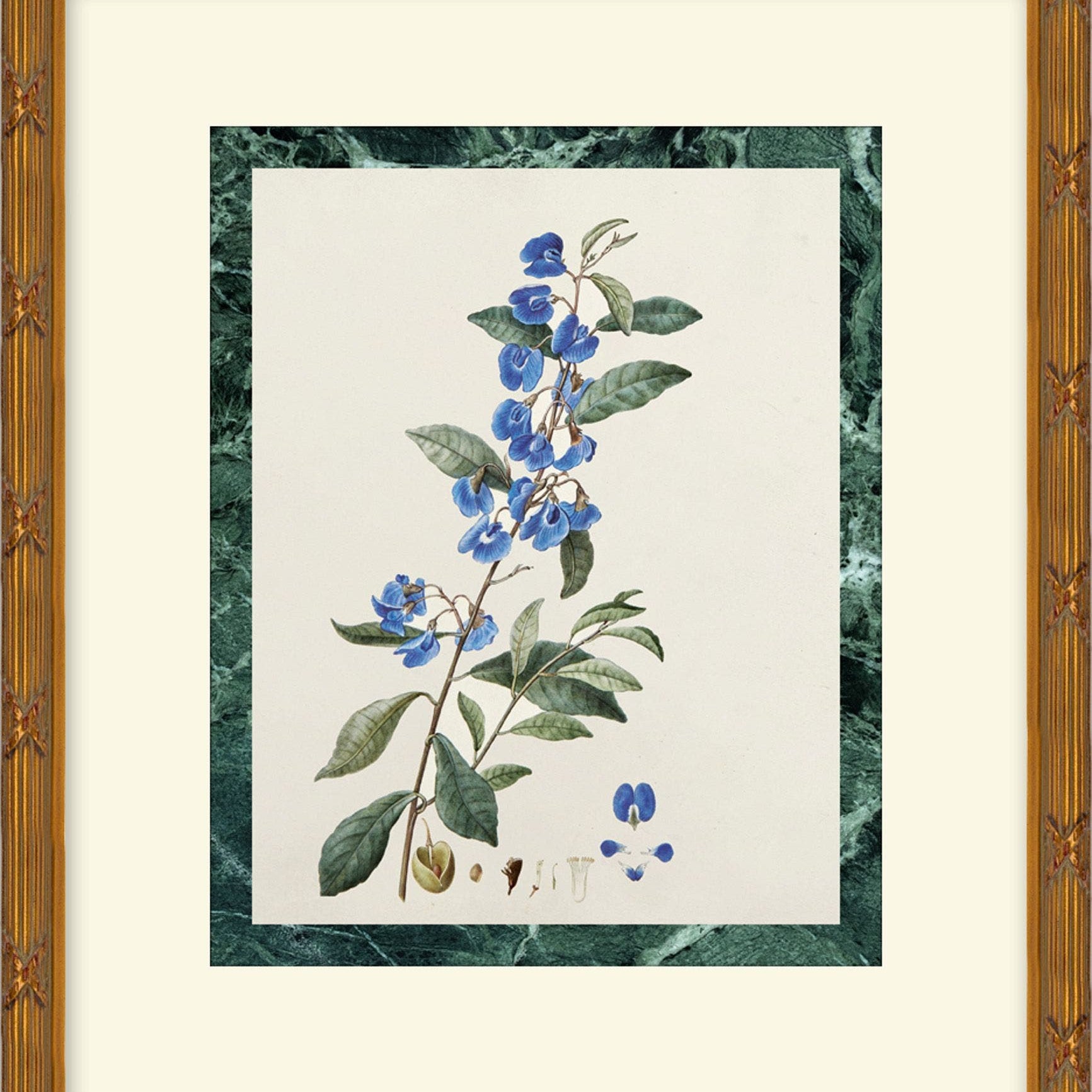 "Blossoms" Framed Art Print ARTWORK - framed art Wendover Art Group