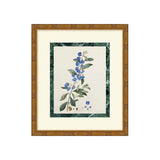 Measured Beauty 2 ARTWORK - framed art Wendover Art Group