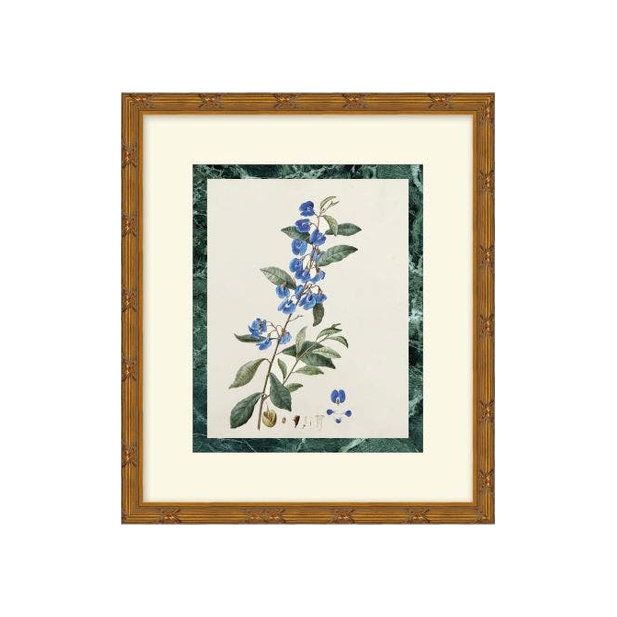 Measured Beauty 2 ARTWORK - framed art Wendover Art Group