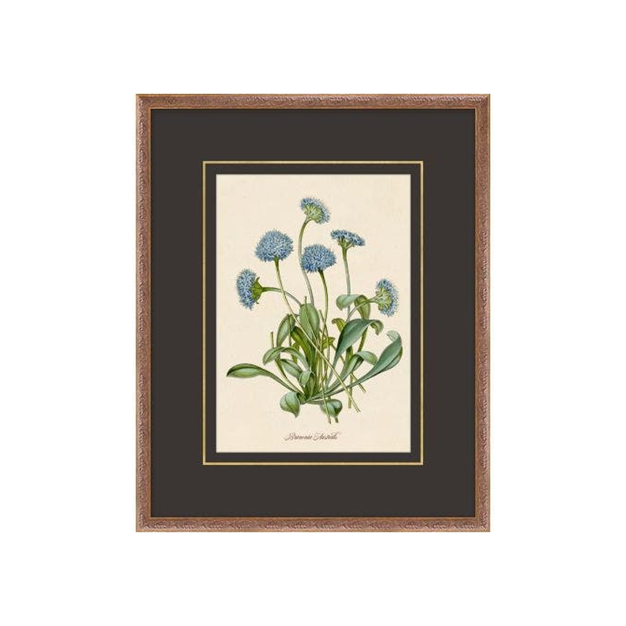 Figures of Flora 3 ARTWORK - framed art Wendover Art Group