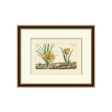Heritage Blooms 1 ARTWORK - framed art Wendover Art Group
