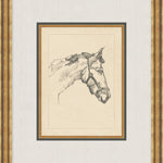 "Equine Sketch" Framed Art Print ARTWORK - framed art Wendover Art Group