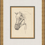 "Equine Sketch" Framed Art Print ARTWORK - framed art Wendover Art Group