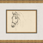 "Equine Sketch" Framed Art Print ARTWORK - framed art Wendover Art Group