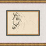 "Equine Sketch" Framed Art Print ARTWORK - framed art Wendover Art Group
