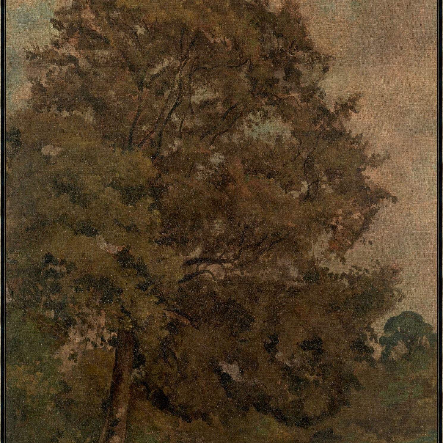 "Gentle Ash" Framed Art Print ARTWORK - framed art Wendover Art Group