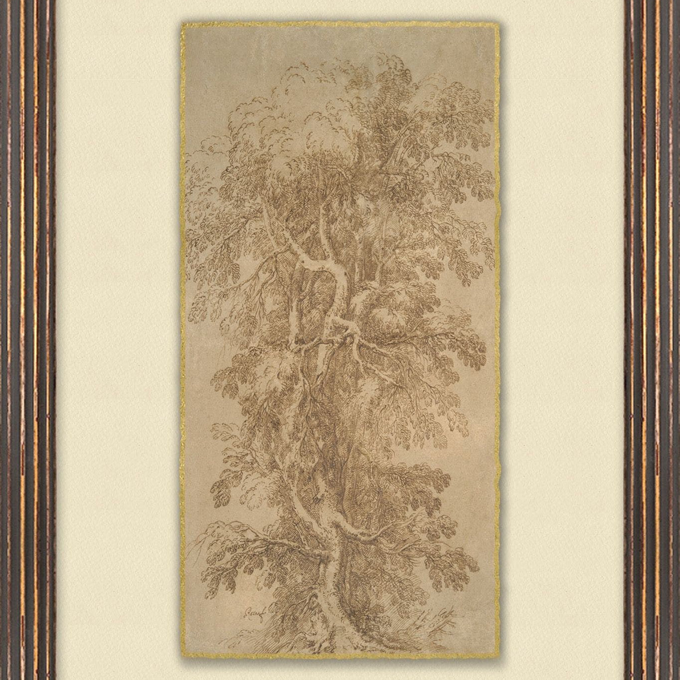 "Old Willow" Framed Art Print ARTWORK - framed art Wendover Art Group