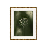 Gravity and Grace 1 ARTWORK - framed art Wendover Art Group
