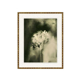 Gravity and Grace 2 ARTWORK - framed art Wendover Art Group