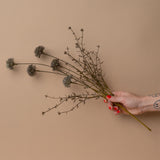 Faux Melaleuca Grey Stem faux stem Abigail Ahern (Aesthetic Movement)