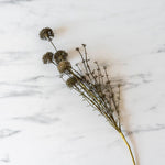 Faux Melaleuca Grey Stem faux stem Abigail Ahern (Aesthetic Movement)