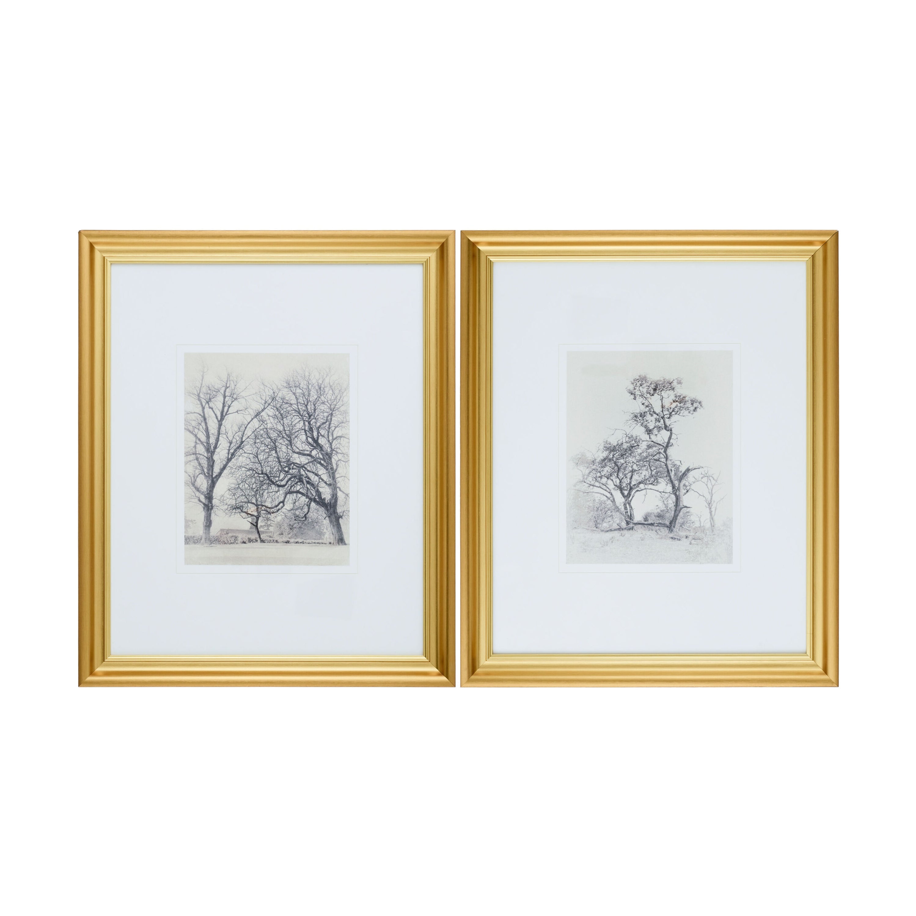 "Whitefield" Framed Art Set ART - Framed Art Surya