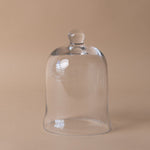 Bell Shaped Glass Cloche cloche Abbott Collection