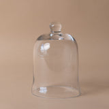 Bell Shaped Glass Cloche cloche Abbott Collection