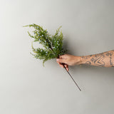 Faux Juniper Berry Spray