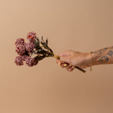 Faux Mauve Morandi Bunch