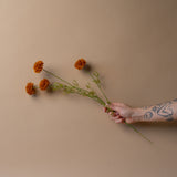 Faux Brown Mini Chrysanthemum Spray faux stem Indaba