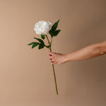 Faux Ivory Peony Stem faux stem Tri W Imports