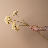 Faux Cream Pom Pom Spray faux stem Indaba