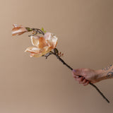 Faux Cream Magnolia Branch faux stem Indaba