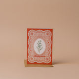 Juniper Lace Holiday Card