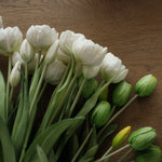 Faux White Double Peony Tulip Bundle faux stem Tri W Imports