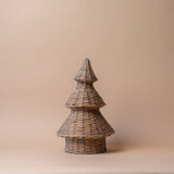 Grey Willow Tree