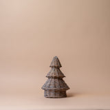Grey Willow Tree