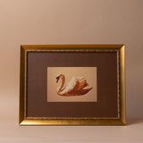 "Swan of the Quiet Waters" Framed Canvas Print