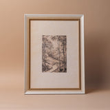 "Where the Old Trees Grow" Framed Canvas Print