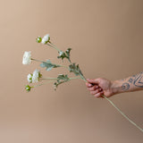 Faux White Ranunculus Spray faux stem Indaba
