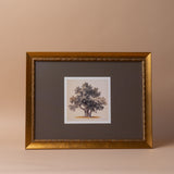 "Quiet Knowing" Framed Canvas Print
