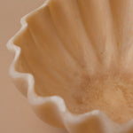 Opalescent Resin Scallop Bowl bowl Indaba