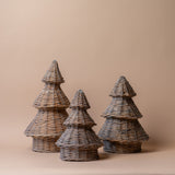 Grey Willow Tree