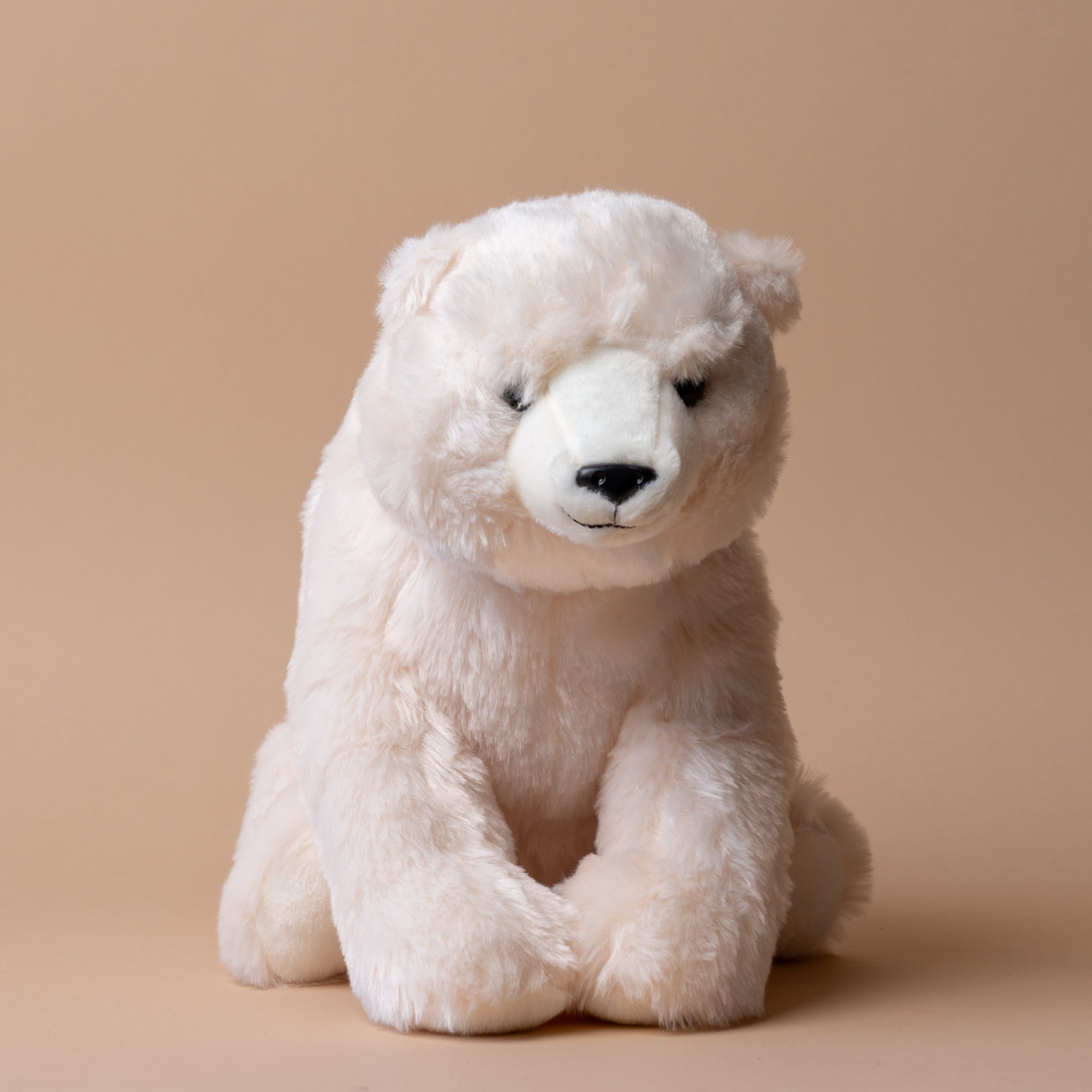 Peter the Polar Bear